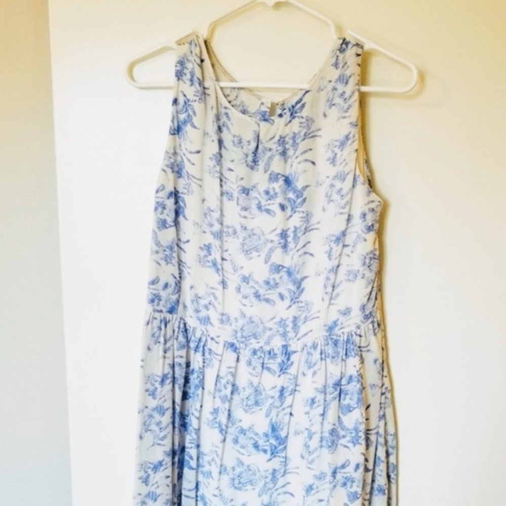 Floral Blue and White Dress